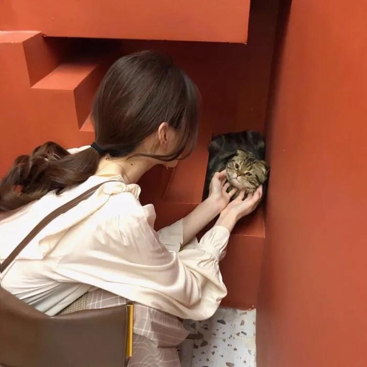 比古清十郎（身份：剑心师父、飞天御剑流第十三代传人） - 游戏直播实时在线观看 - 网络看剧
